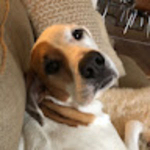 Meet your Posher, Neve